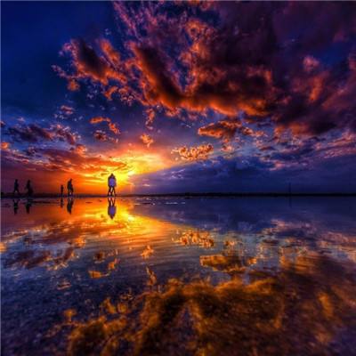 万博(ManBetx)下载手机版